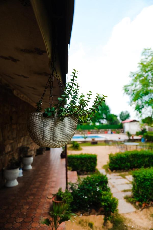 The Rustic Villa, A Stay With Luxuries Amenities And Exotic Nature Jaipur Eksteriør bilde